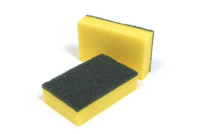 Sponges