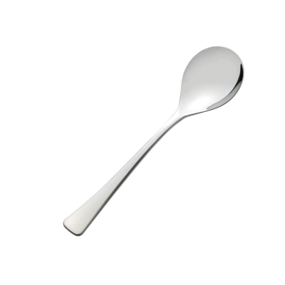 Viners Darwin Serving Spoon 18/10