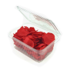 Rose Petals In Plastic Container