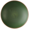 Churchill Stonecast Sorrel Green Evolve Coupe Bowl 9.75" (Pack 12)