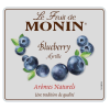 Monin Fruit Puree Blueberry 1L