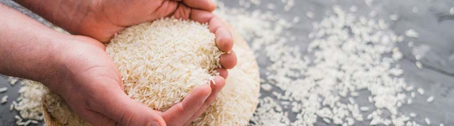 Hand cupping grains of rice