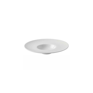 Titan Options Wide Rimmed Bowl 11.25&quot; (28.5cm)